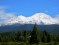 Mt. Shasta