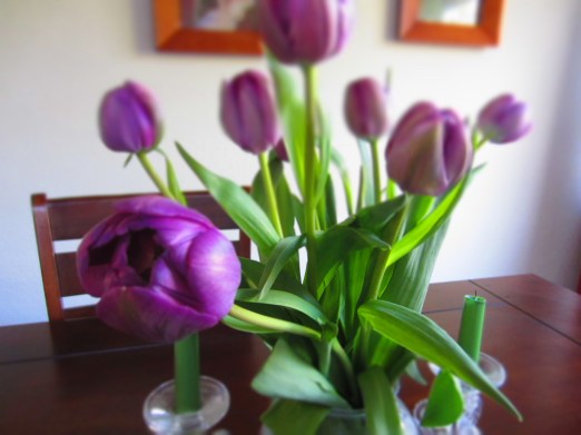 My sweet husband surprised me with some spring break tulips.