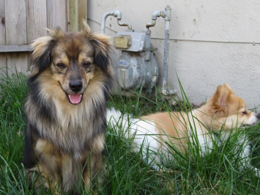 Our newest family member.