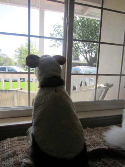 Waiting for the Easter Bunny.