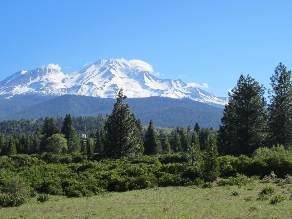 Mt. Shasta