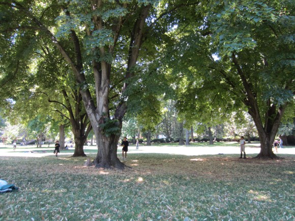 To be fair, good moments have punctuated the week as well. Today as I sat alone and watched them play on our field trip to Sac State, I felt at peace.