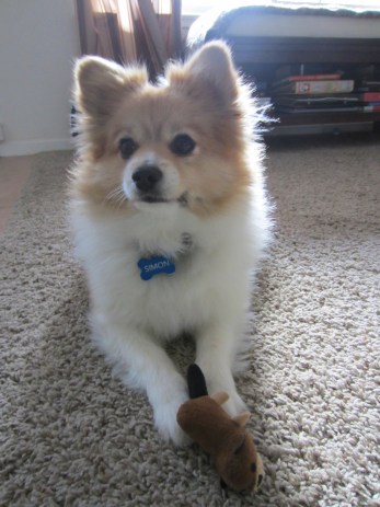 Sometimes the answers are so simple.