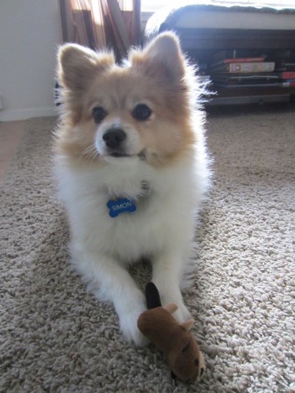 Sometimes the answers are so simple.