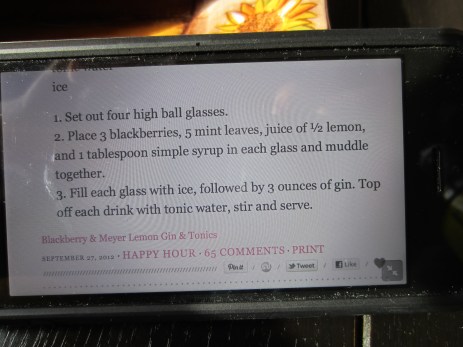 Blackberry & Meyer Lemon Gin & Tonic recipe, in case you need some inspiration for a summer beverage...