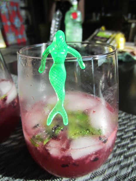 Black Berry & Meyer Lemon Gin & Tonic w/ a splash of mermaid
