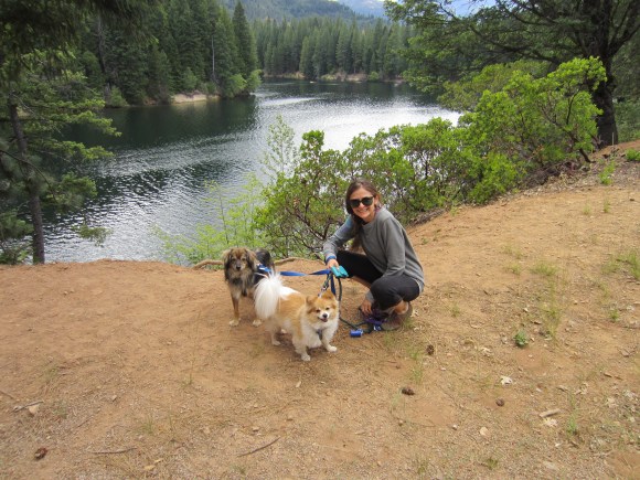 This is more what Mt. Shasta usually looks like for me-- a space of solitude and hiking.