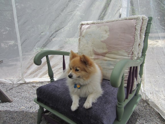 Simon and I share a similar view of camping. Pretty, cushy chair in netted room required.