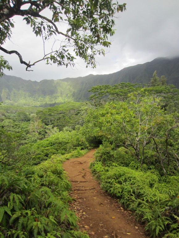 The hike to the waterfall takes about an hour and passes stunning vistas.