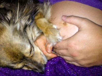 While you may not get the scope of my belly, this is a typical evening on our couch, three hands on deck in anticipation of kicks: a dog's, mine, and my husband's.