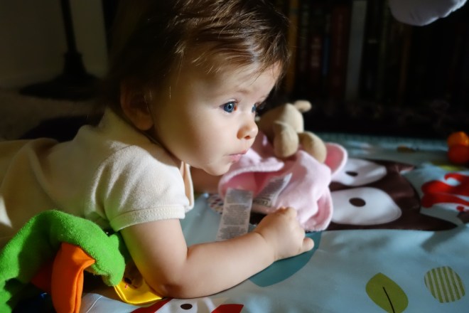 As the light begins to change again, my connection to childhood and the seasons feels stronger than ever.