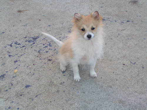 20969_838350895953_2524690_n