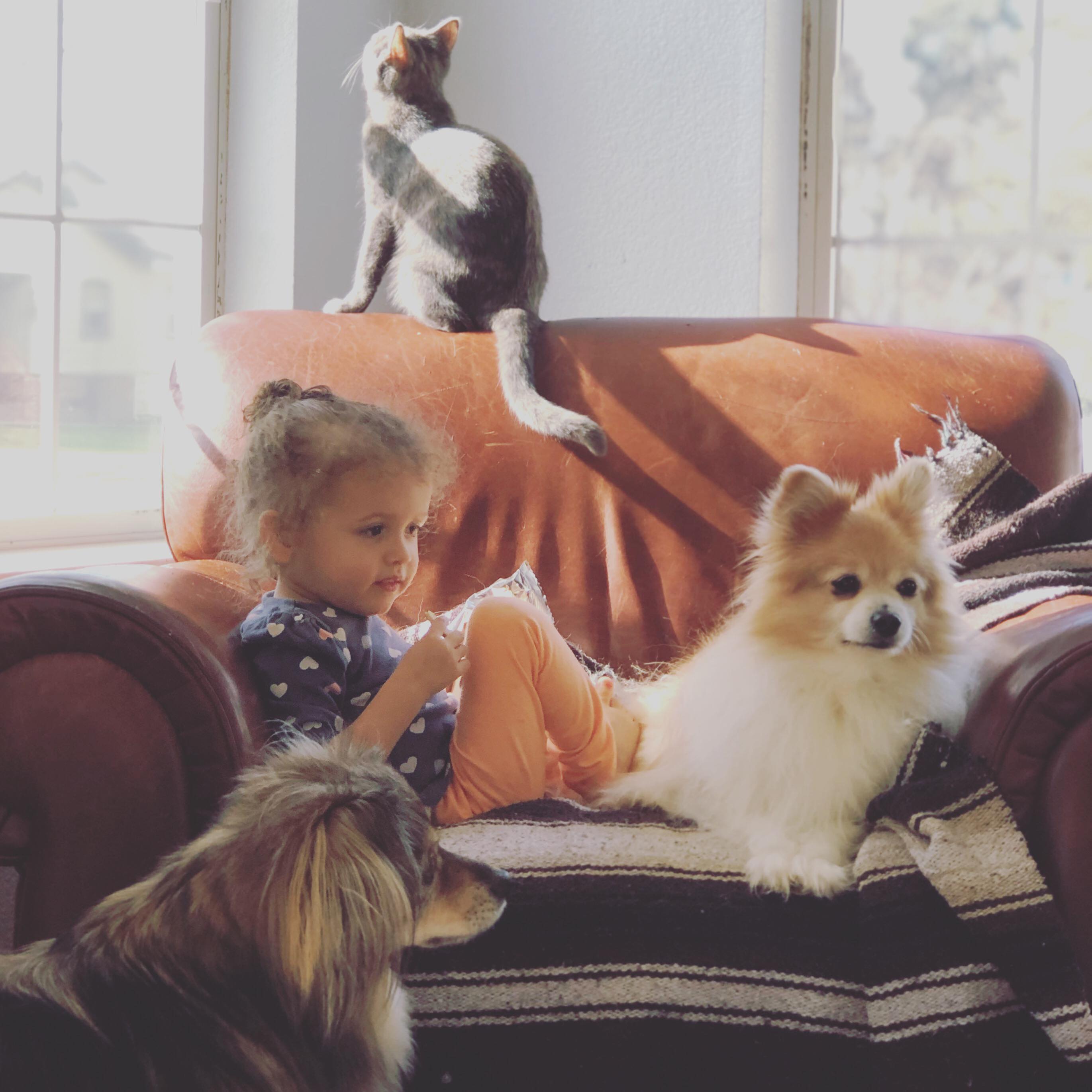 58441406_594534511029765_6580911330889302016_n