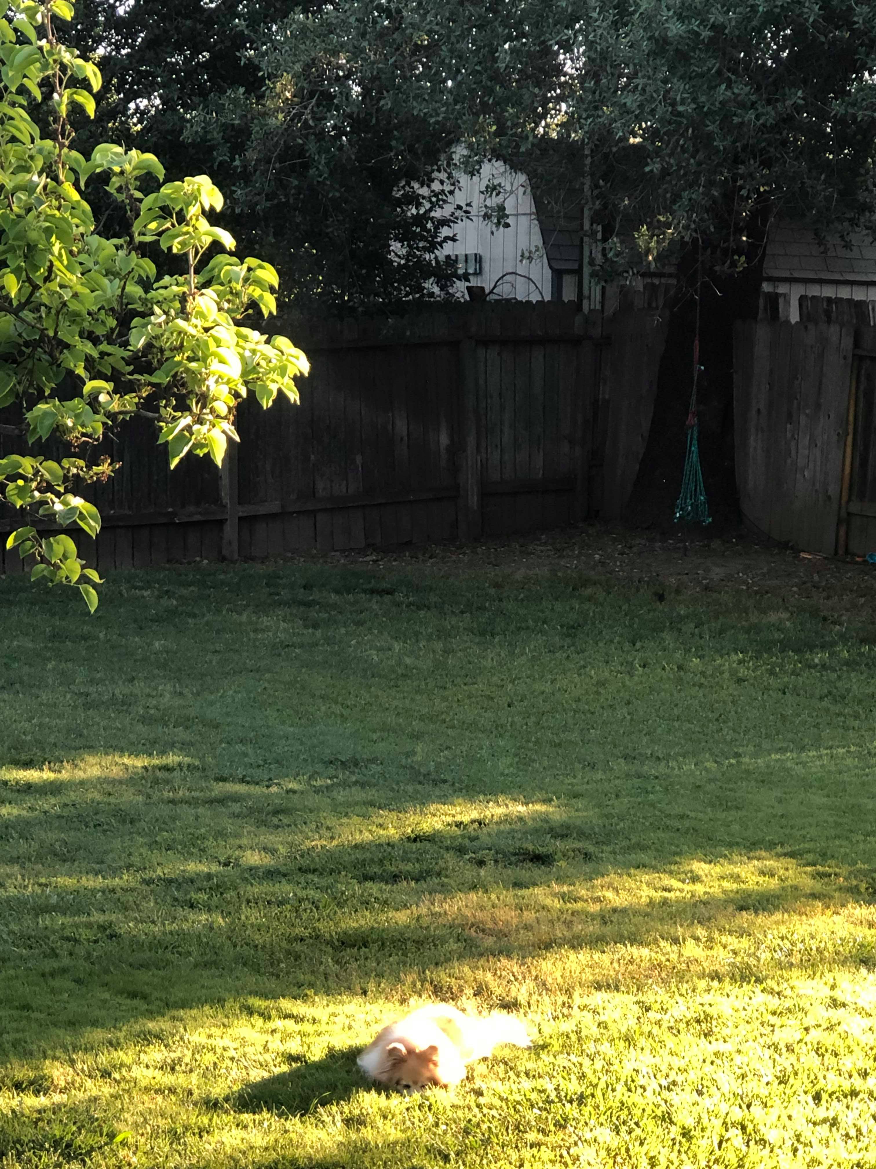 58751242_834966603502755_9202695428636672000_n